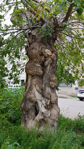 VFL.RU - ваш фотохостинг VFL.RU - ваш фотохостинг