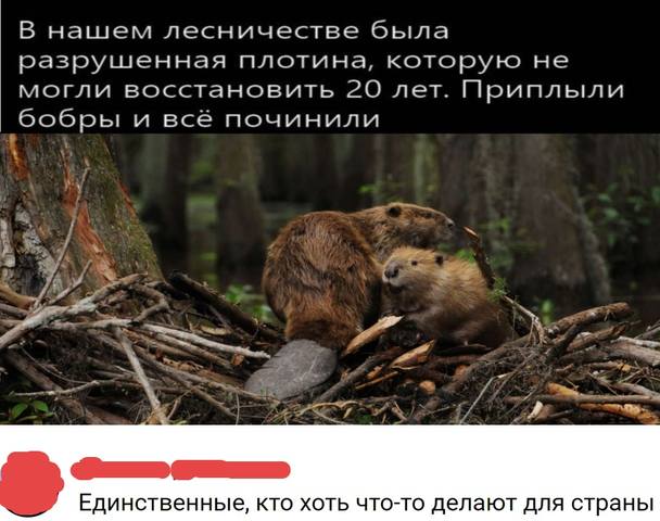 27527440_m.jpg