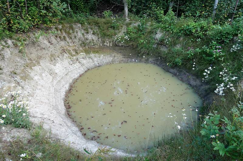 Дачные зарисовки Дачные зарисовки