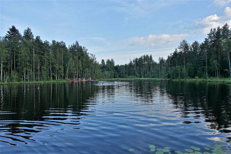 Дачные зарисовки Дачные зарисовки