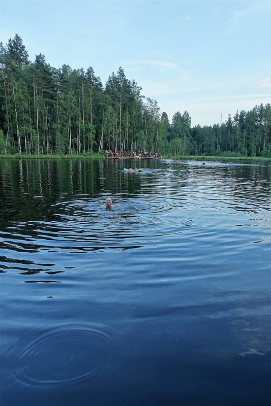 Дачные зарисовки Дачные зарисовки