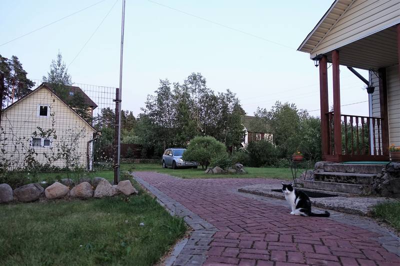 Дачные зарисовки Дачные зарисовки