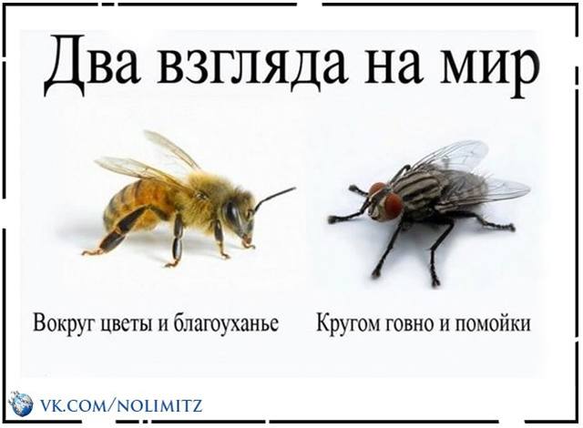 Посмеялся сам - поделись с другом!!!