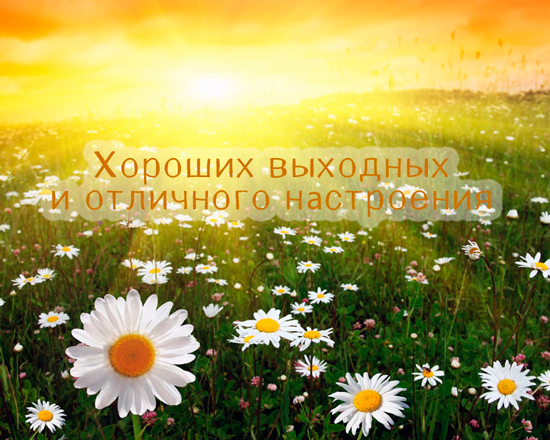 Ждите ответа - Страница 10 27634388