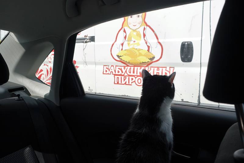 Фрося едет на дачу Фрося едет на дачу