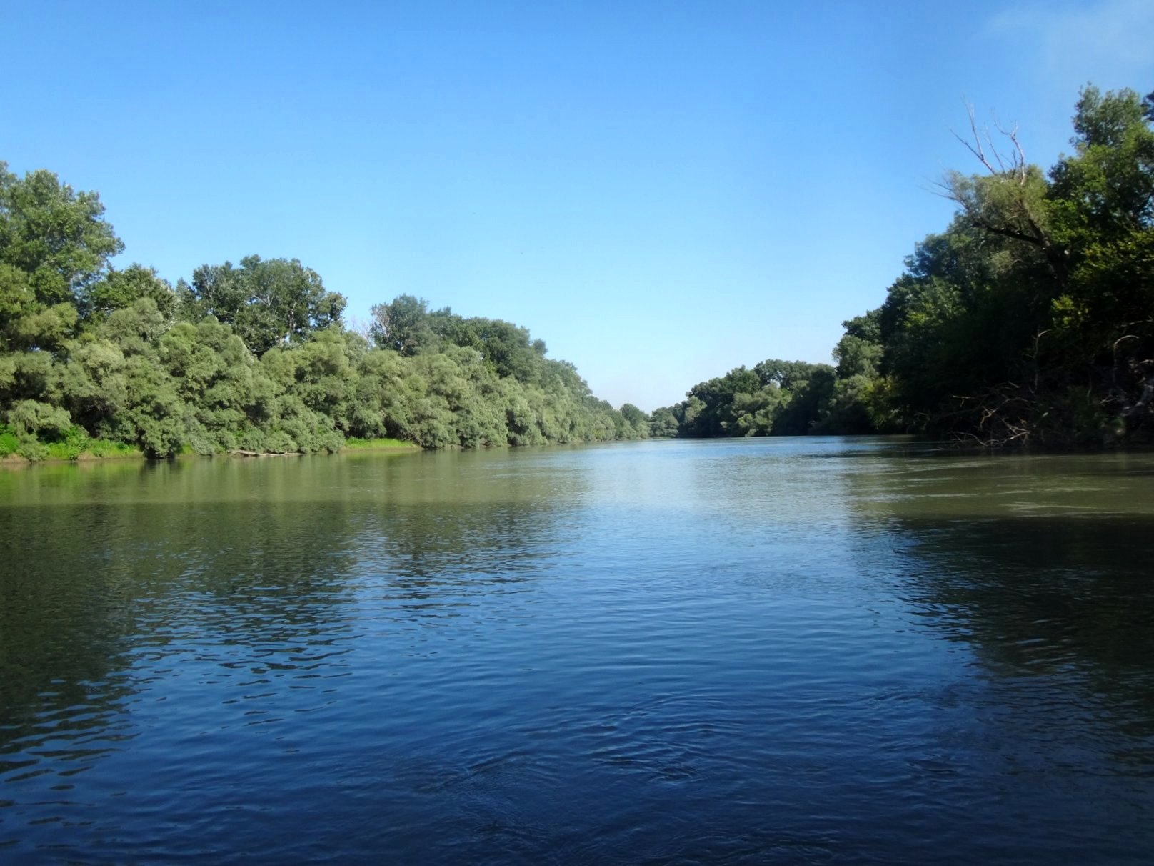 13.08.19., Эпизод водного туризма