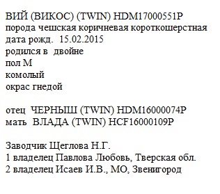 Вий анк Щеглова Н.Г.