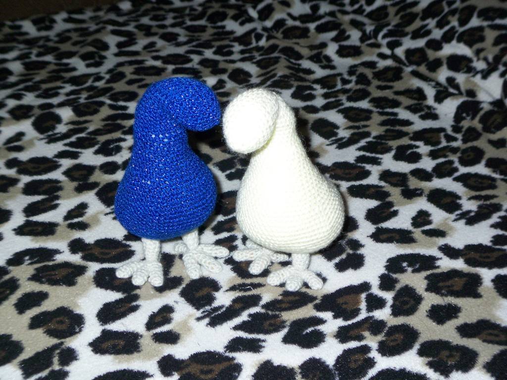 павлин 3 этап 001