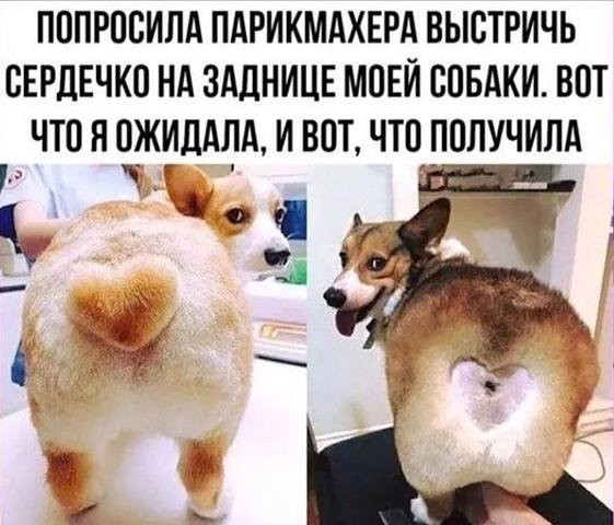 Посмеялся сам - поделись с другом!!!