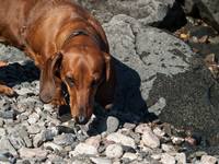 Петрозаводск. Авангард. Северная точка (98)