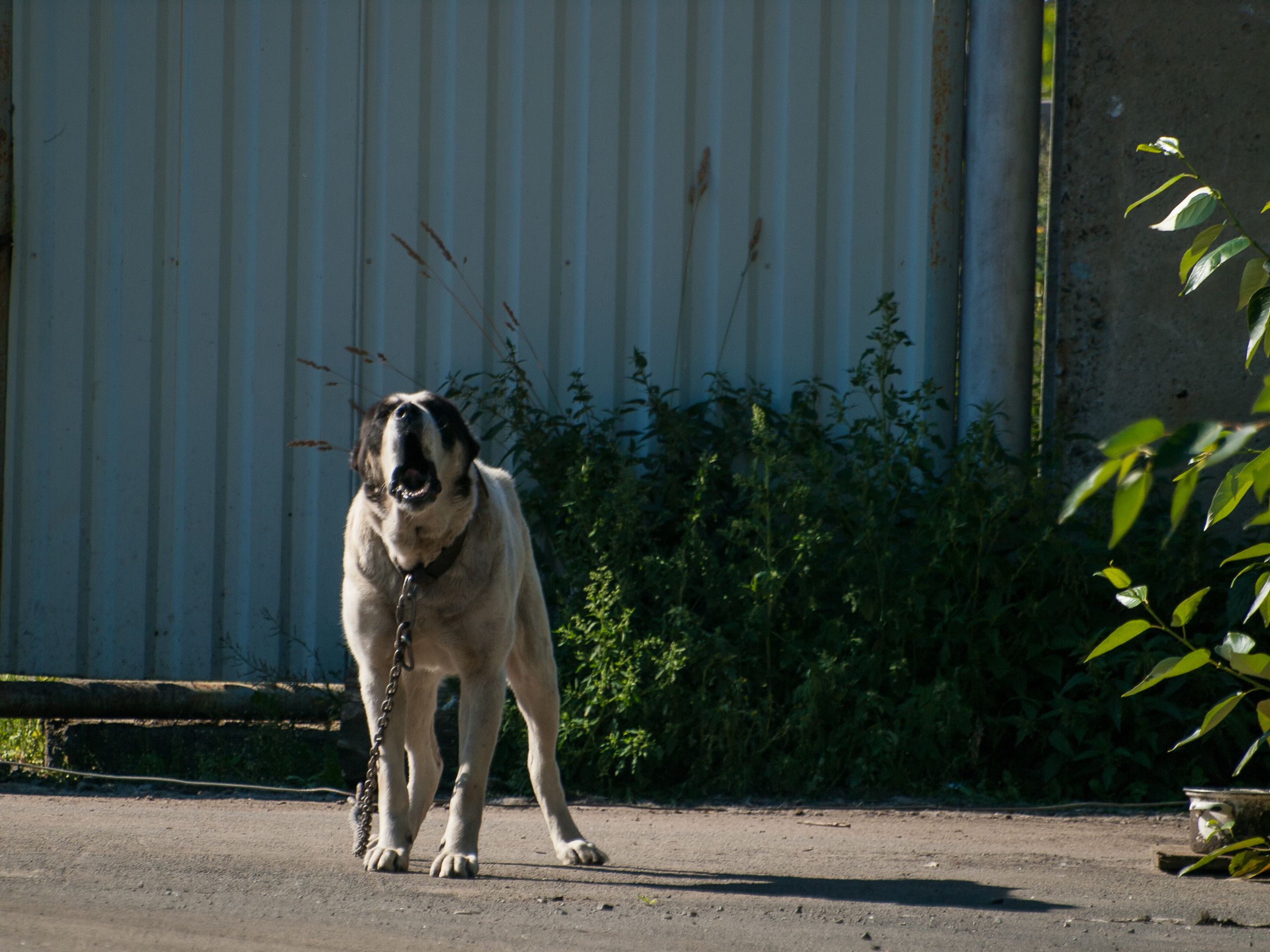 Петрозаводск. Авангард. Северная точка (53)