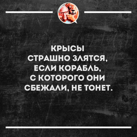 27804231_m.png