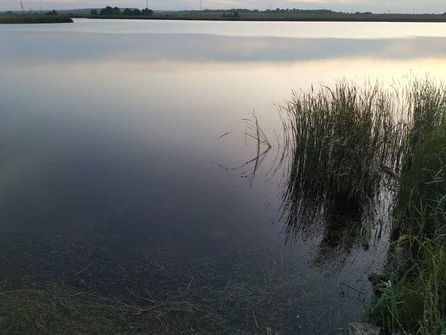 27807100_m.jpg