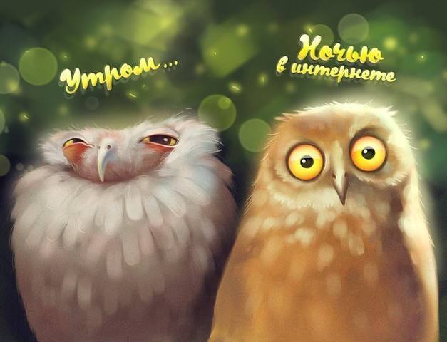 Тарталетки & Ко