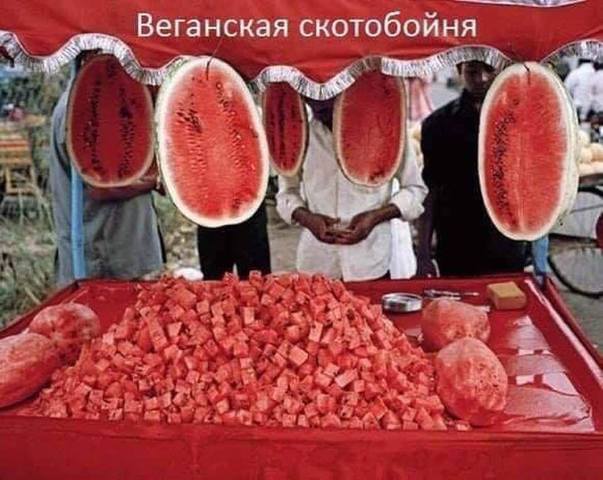27827788_m.jpg