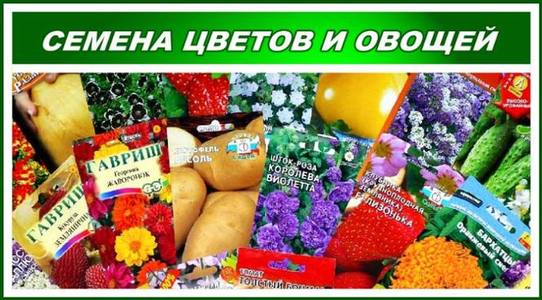 Садовая Фирма Поиск Интернет Магазин Каталог
