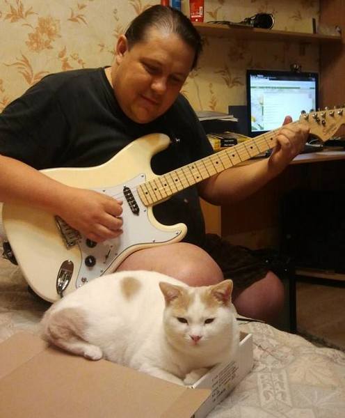 кот и гитара