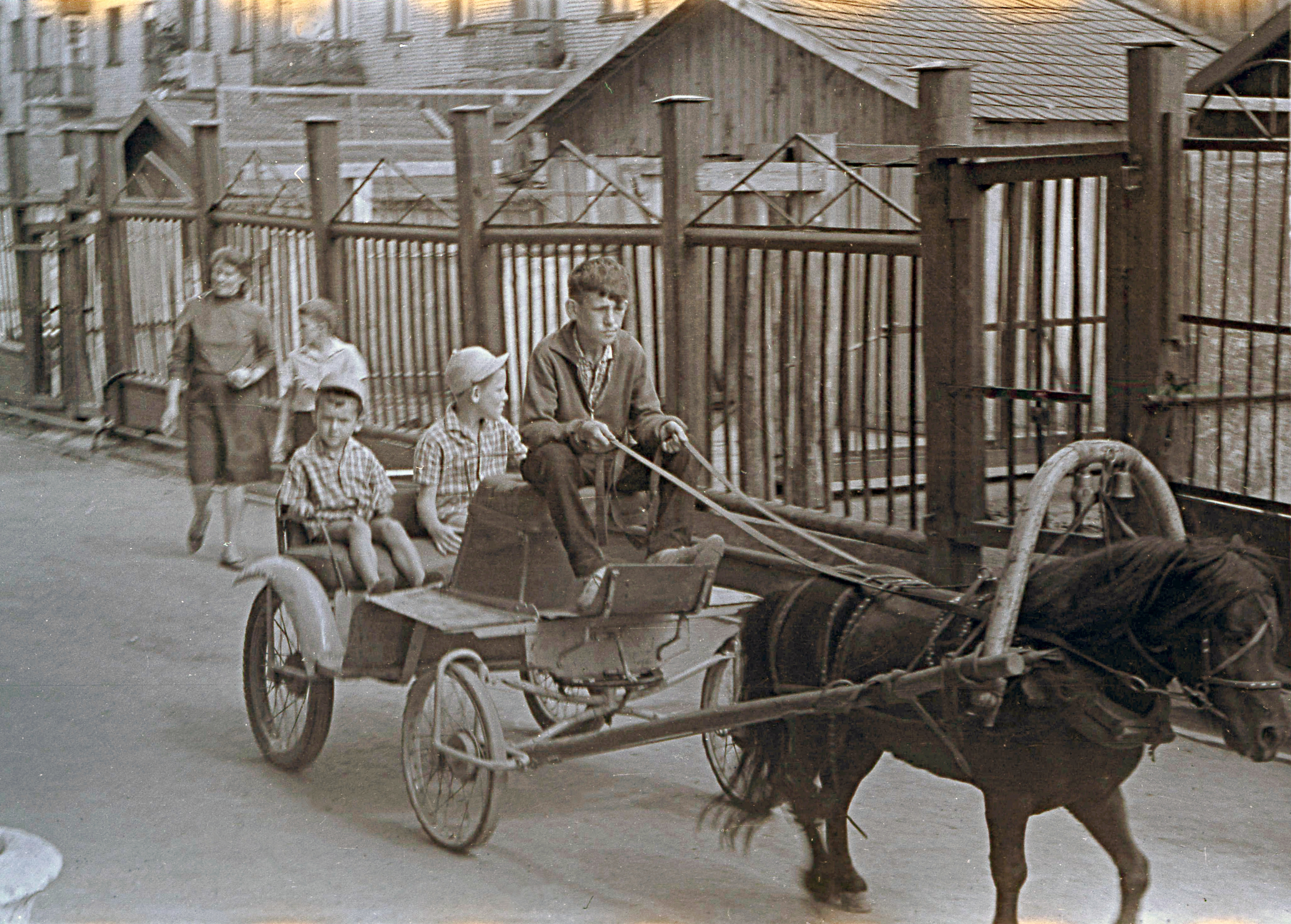 Старый зоопарк на ул Гоголя фото из архива Казимирчика В С. 1967 год