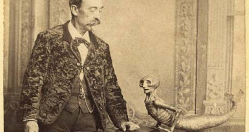 feejee-mermaid feejee-mermaid