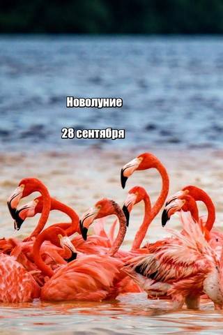 ЯЯФФФФ ЯЯФФФФ