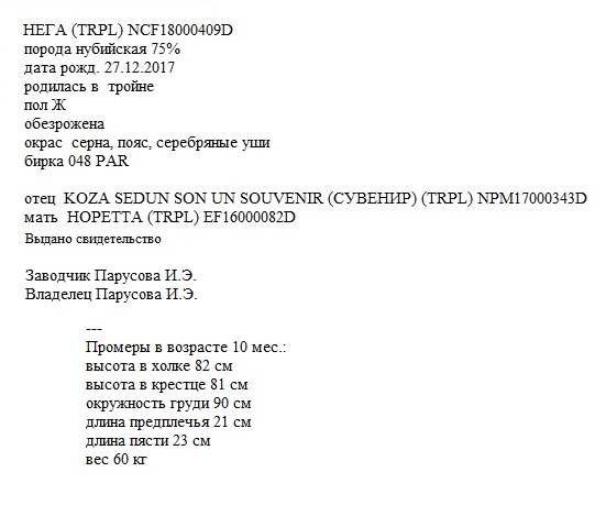 Нега анк ИрЭН