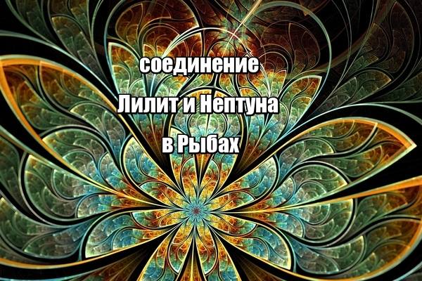 яяяллл3 яяяллл3