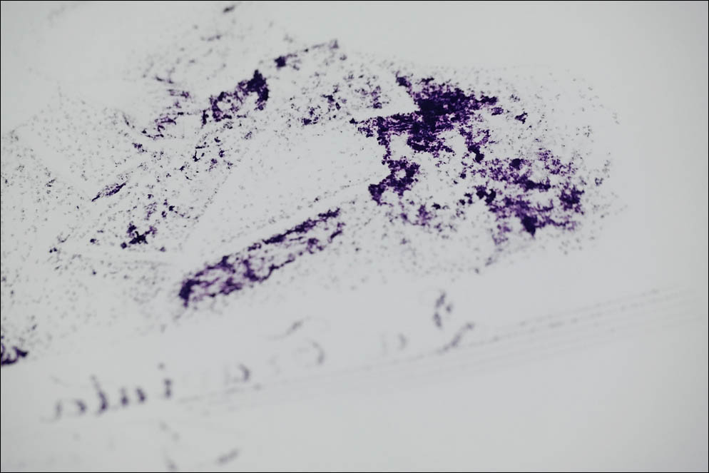 Diamine Scribble Purple. Lenskiy.org