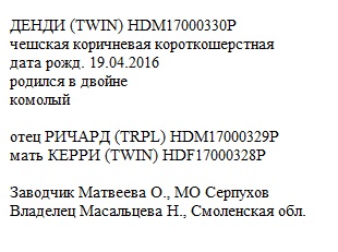 Денди анк мечта