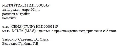 Митя анк Татьяна Tata