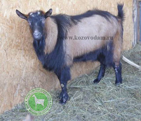 Митя 1 Татьяна Tata