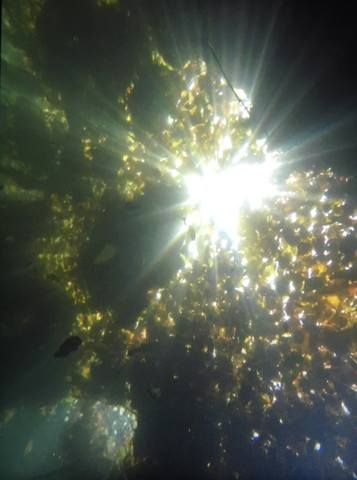 28099242_m.jpg