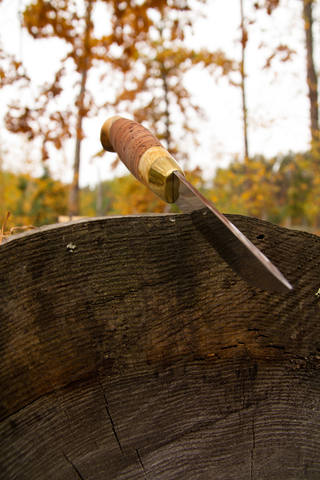 http://images.vfl.ru/ii/1570480683/c5f11472/28110910_m.jpg