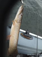 VFL.RU - ваш фотохостинг