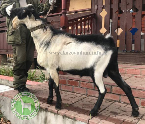 Финист Светлана Владиславовна