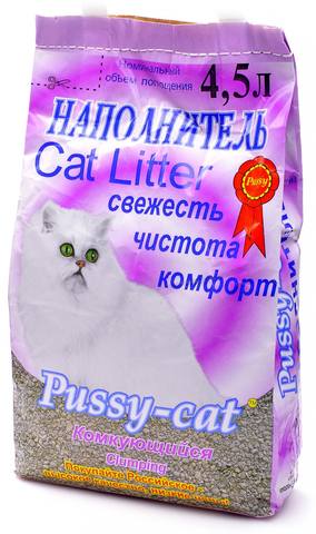 Дочь просит котенка