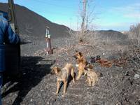 VFL.RU - ваш фотохостинг