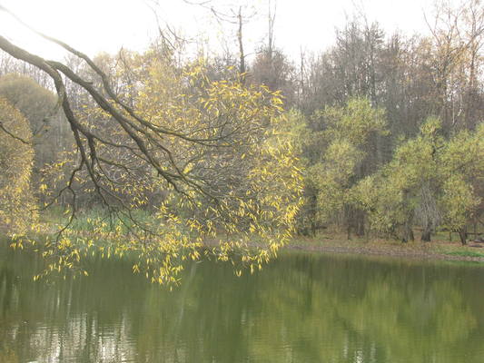 VFL.RU - ваш фотохостинг VFL.RU - ваш фотохостинг