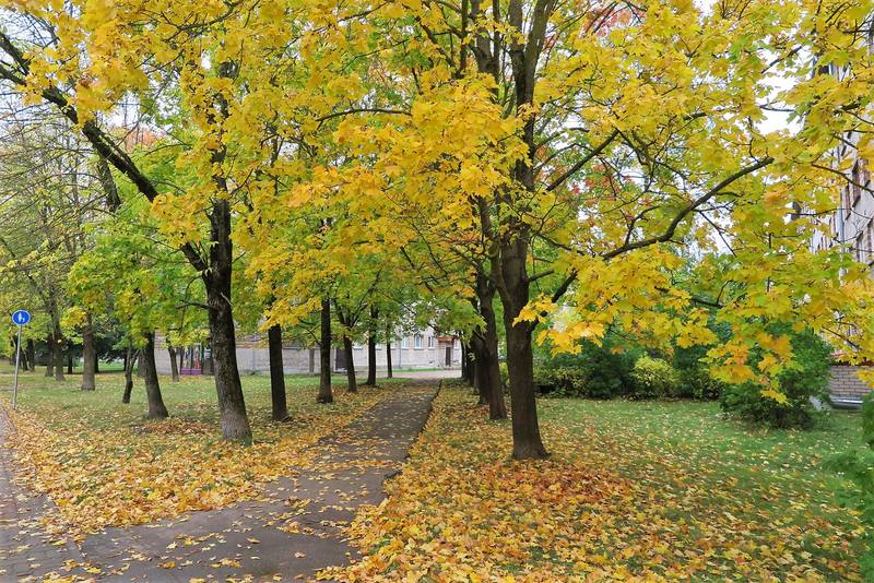 Нарва Нарва
