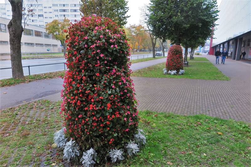 Нарва Нарва