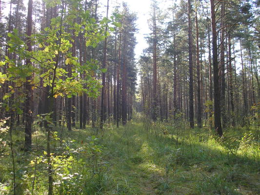 VFL.RU - ваш фотохостинг VFL.RU - ваш фотохостинг