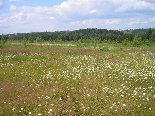 VFL.RU - ваш фотохостинг VFL.RU - ваш фотохостинг