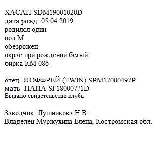 Хасан анк Натка