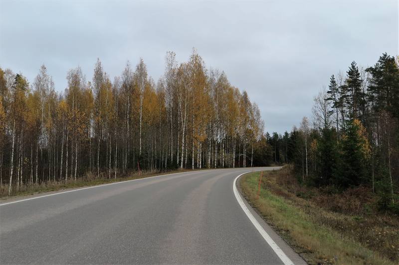 Поездка в Финляндию Поездка в Финляндию
