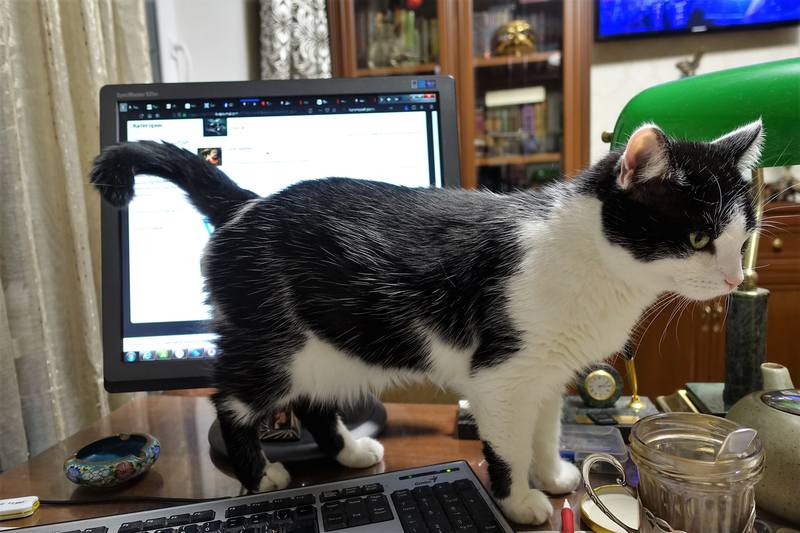 Поездка в Финляндию Поездка в Финляндию