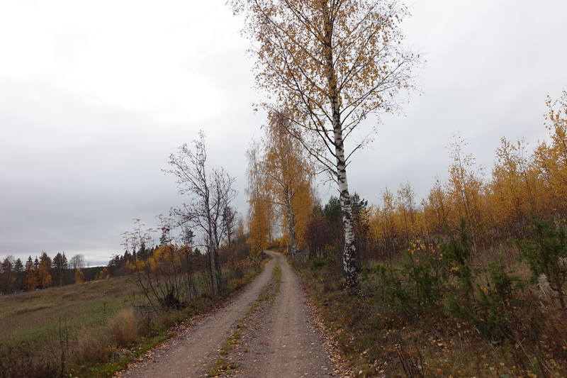 Поездка в Финляндию Поездка в Финляндию