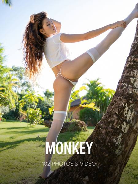 Irene Rouse - Monkey x103 8688px (01-11-2019)