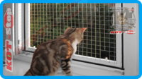14,защитная сетка для кошек,антикошка киев