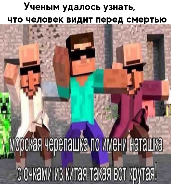 28471324.jpg