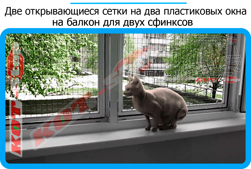 15,защитная сетка решетка для кошек киев,кошки,антикошка киев,сетка на окно,кот стоп,кот stop