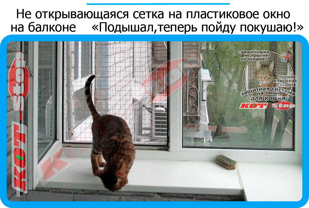 15,защитная сетка решетка для кошек киев,кошки,антикошка киев,сетка на окно,кот стоп,кот stop